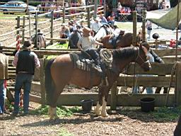 104-0498_IMG.JPG