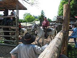 105-0501_IMG.JPG