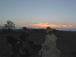 111-1192_IMG_2.JPG