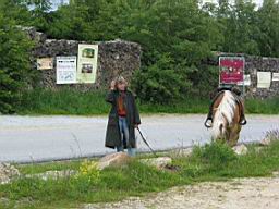 IMG_1423-1.jpg
