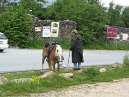 IMG_1425-1.jpg