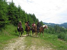 IMG_1446-1.jpg