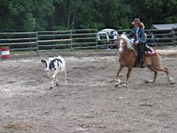 IMG_2832.JPG
