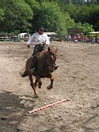 IMG_2872_rotation.JPG
