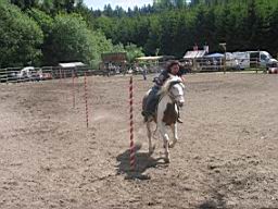 IMG_2943.JPG